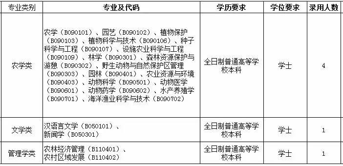 佛山最新附近招聘信息概览