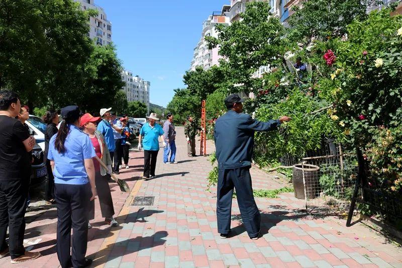 湖南龙山最新租房信息概览