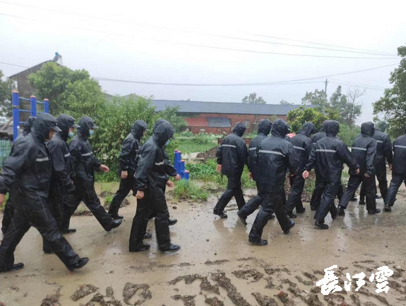 最新长江水位预告，洞悉水情，护航安全