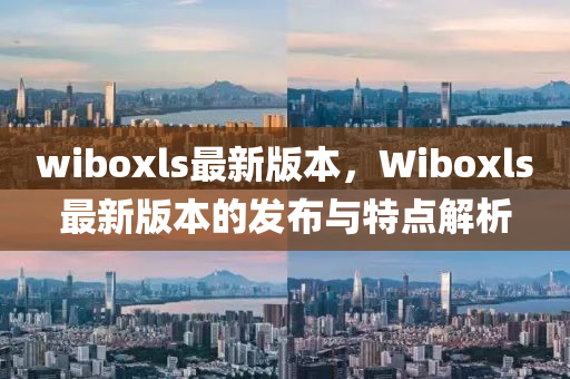 Wiboxls最新版4.2，功能与特性深度解析