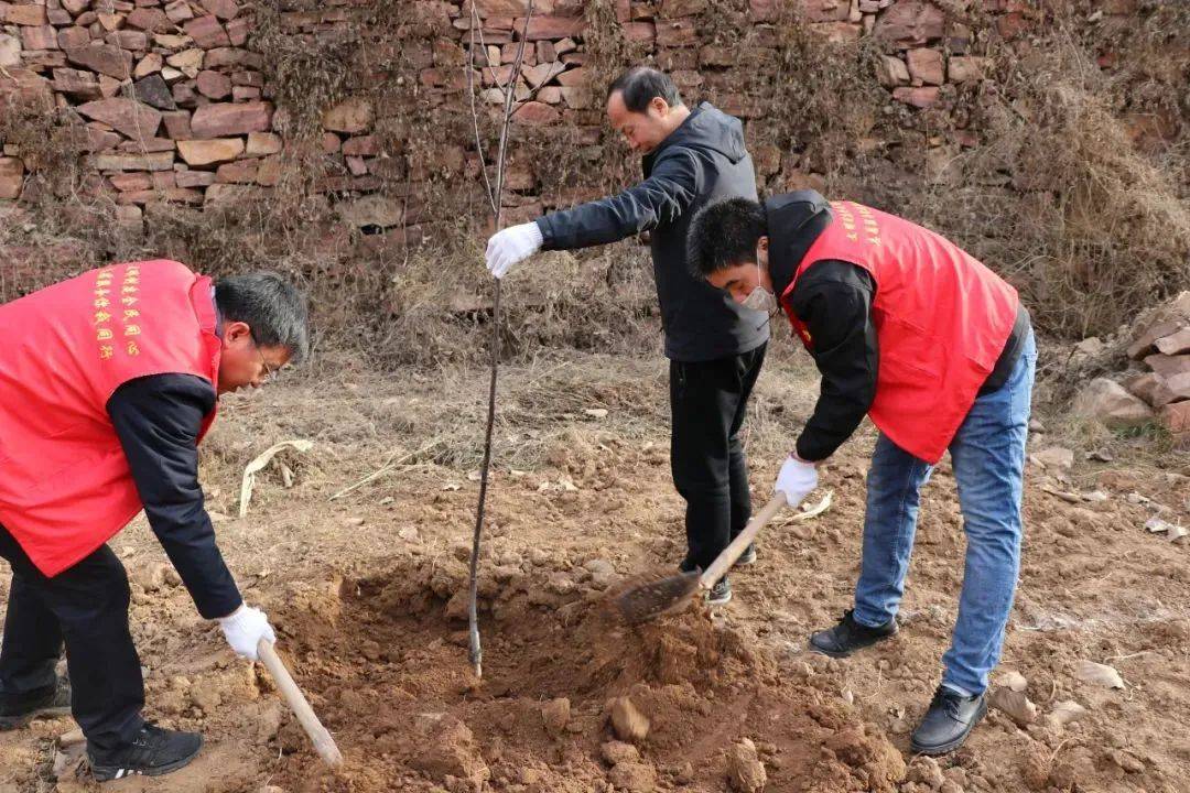 中央最新人事动态，构建新时代的领导核心力量