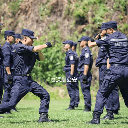 深圳最新辅警招聘公告，呼唤英才，共建平安深圳