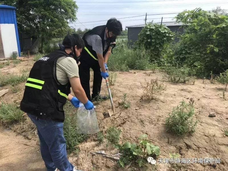 天津污染最新消息，城市环境治理的新进展与挑战