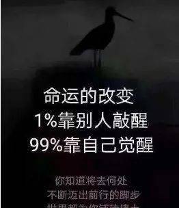 2017最新社会毒句，揭示现实，引人深思