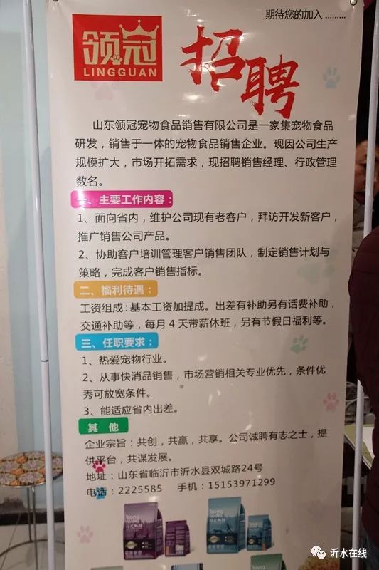 赶集泗水最新招聘信息，探索职业发展的黄金机会