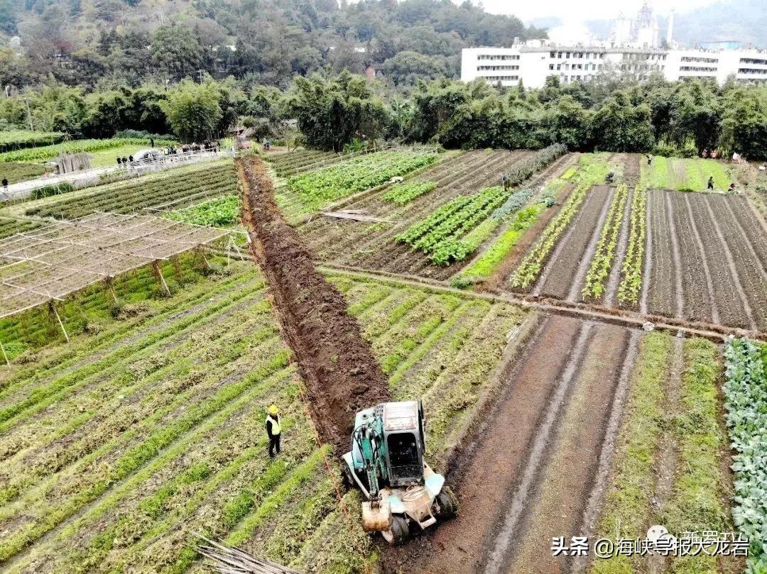 龙岩高速东环线最新动态，建设进展与未来展望