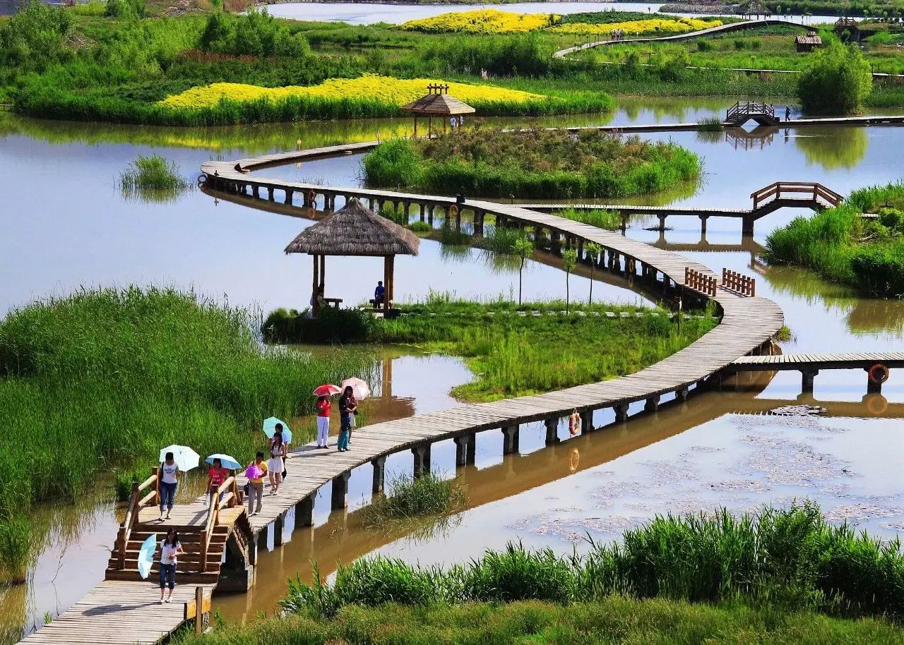 大屯营湿地公园最新消息