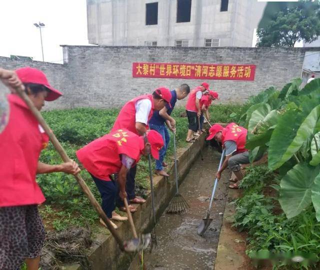 广西平南最新任免动态