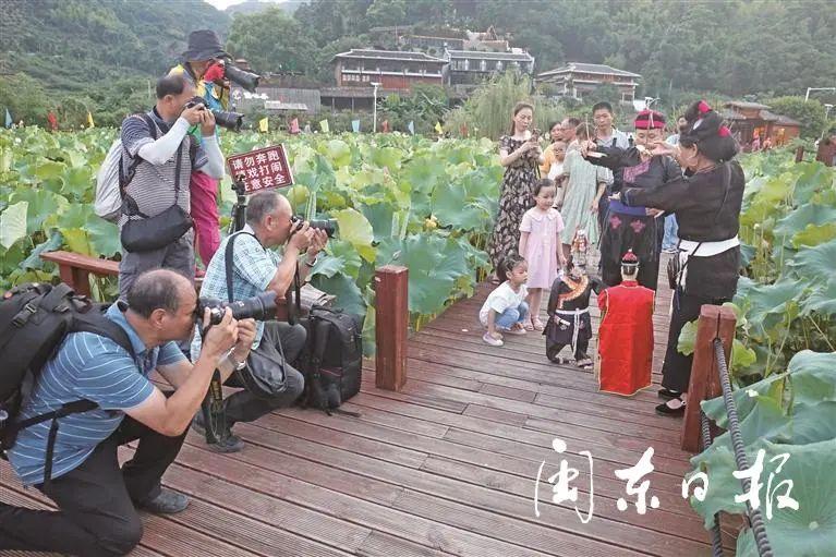 霞浦长沙车祸最新情况，事故深度分析与应对之策