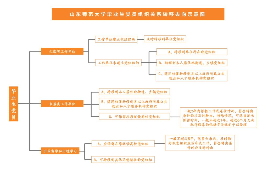 最新跨省转组织关系，流程、挑战与前景展望