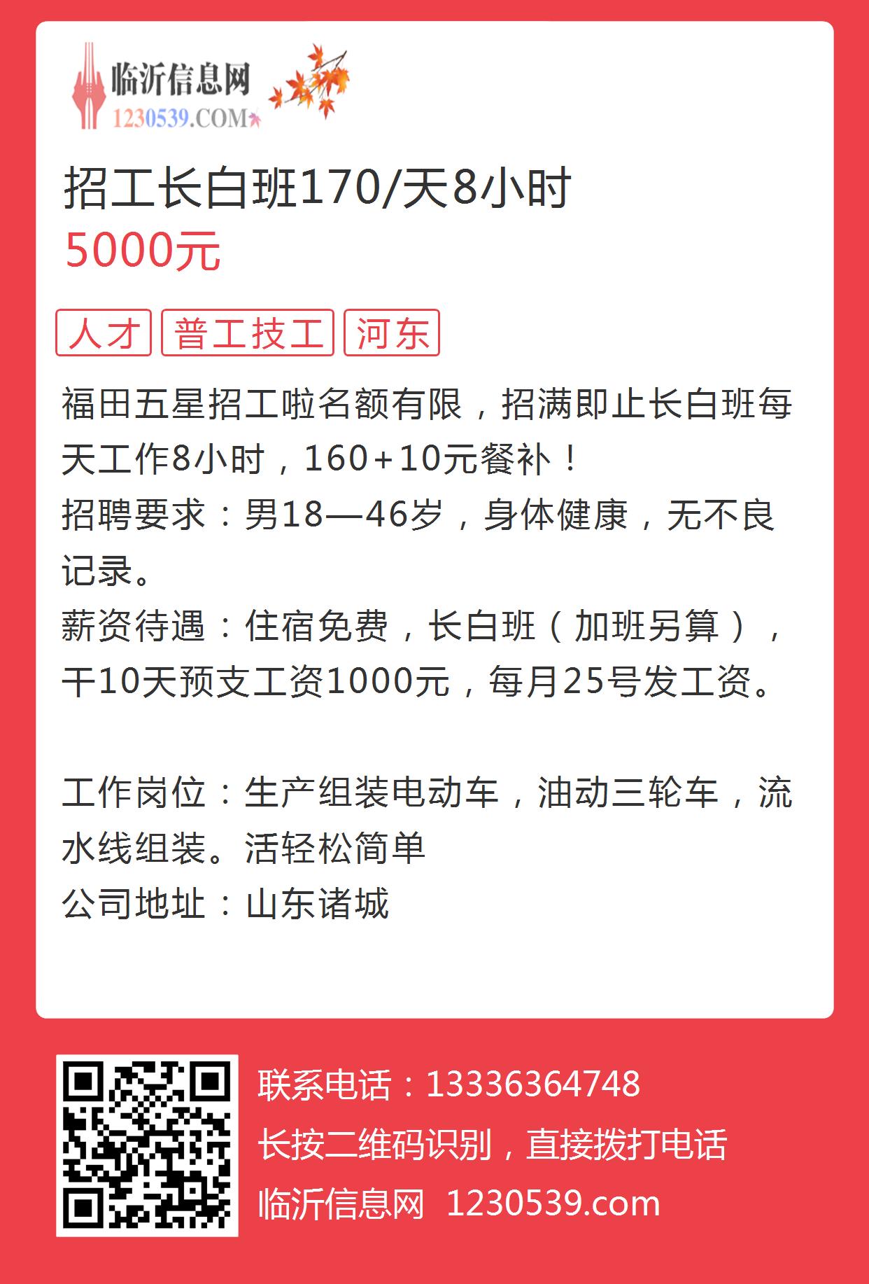 最新峭岐长白班招聘信息详解