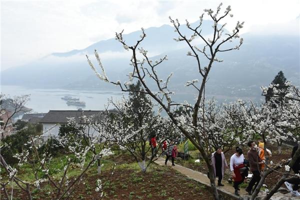 三峡手机台最新动态，数字时代的三峡新篇章