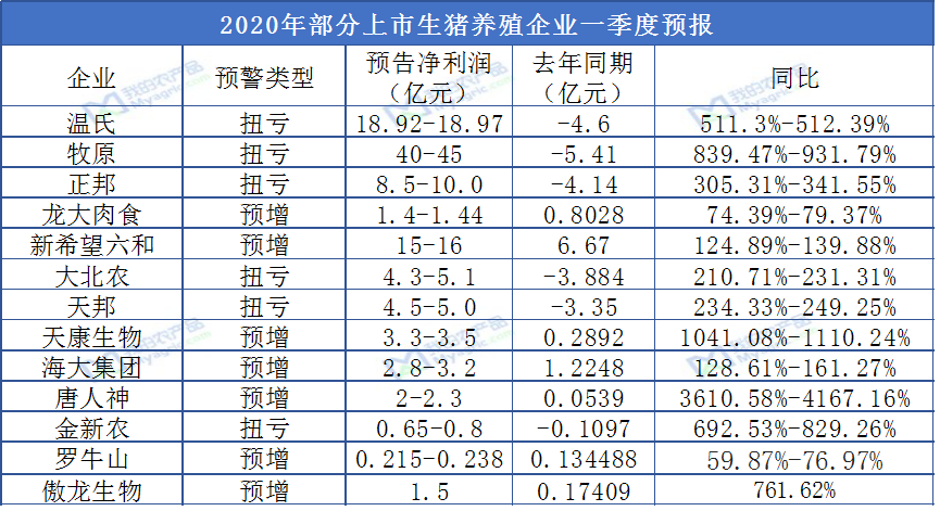 广东今日最新生猪价格分析与展望